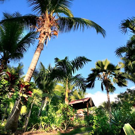 Hotel - Residence Habitation Grande Anse Десе Екстериор снимка