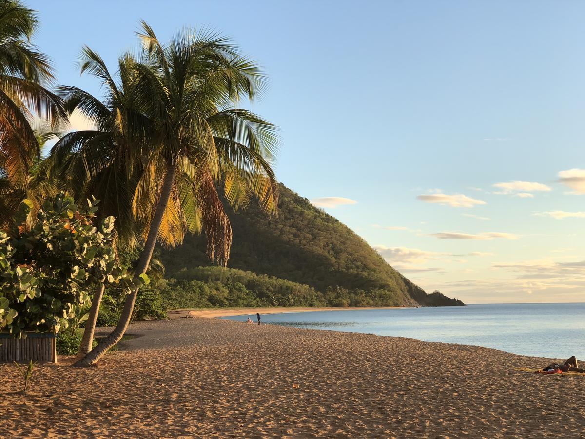 Hotel - Residence Habitation Grande Anse Десе Екстериор снимка